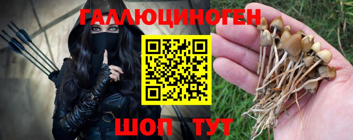 Галлюциногенные грибы Magic Shrooms  Галлюциногенные грибы Psilocybine cubensis  Усинск  Вход с VPN 